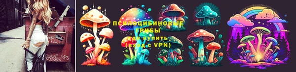 ECSTASY Мегион