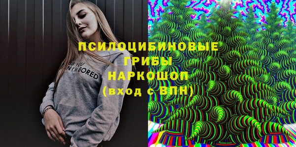 ECSTASY Мегион
